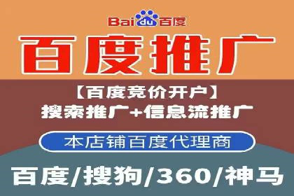 百度广告推广案例费用分析报告